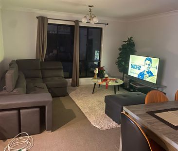 Forest Lake - Photo 4