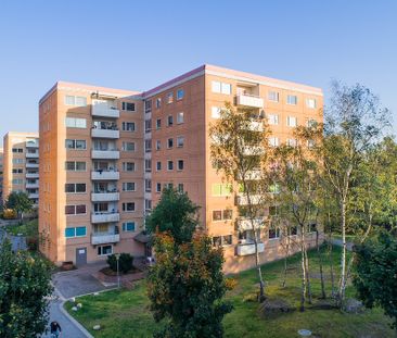 Jungfruns Gata 408, Brandbergen - Photo 1