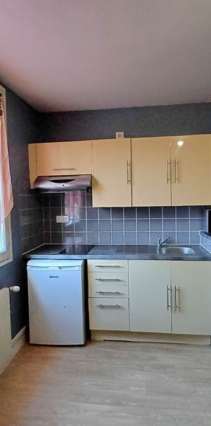 Location Appartement 1 pièce 16m² TOURS 37000 - Photo 1