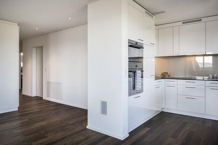 Traumhafte 5.5-Zimmer-Wohnung im Grünen zu vermieten - Foto 5