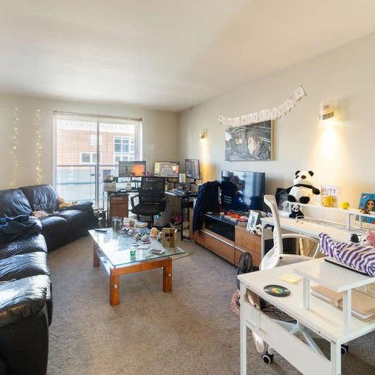 Grosvenor Street West, Birmingham, B16 - Photo 1