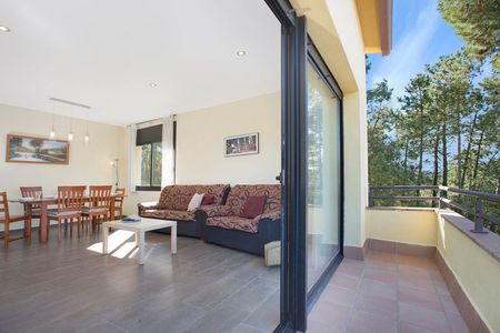 Carrer Camèlia - Photo 2