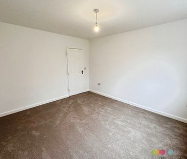 Lincoln Drive - Photo 4