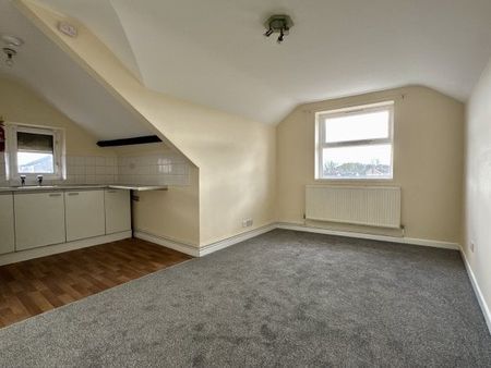 Water Street, Carmarthen, SA31 - Photo 2