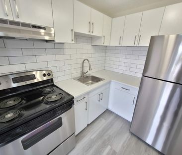 Mainstreet 1310 Apartments - Photo 2