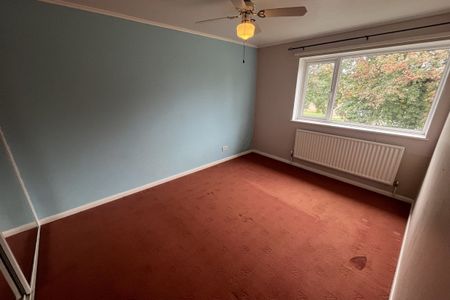 Bradden Street - Photo 5