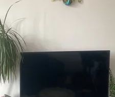 Schöne 2-Zimmer-Wohnung zu vermieten - 46 m² - Photo 1