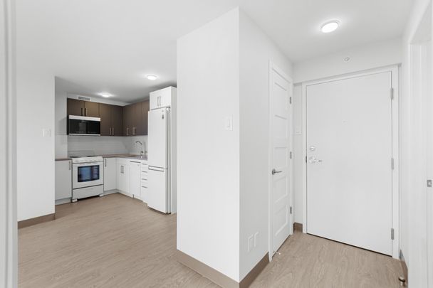 Condo for rent, Montréal (Le Plateau-Mont-Royal) - Photo 1