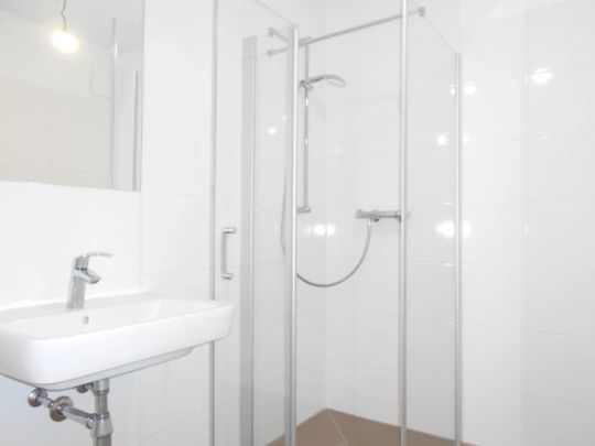 Q5 am PARK sonnige 2ZI mit West/Balkon - Photo 1