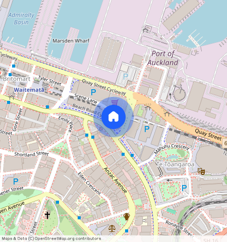 1007/30 Beach Road, Auckland Central, Auckland City