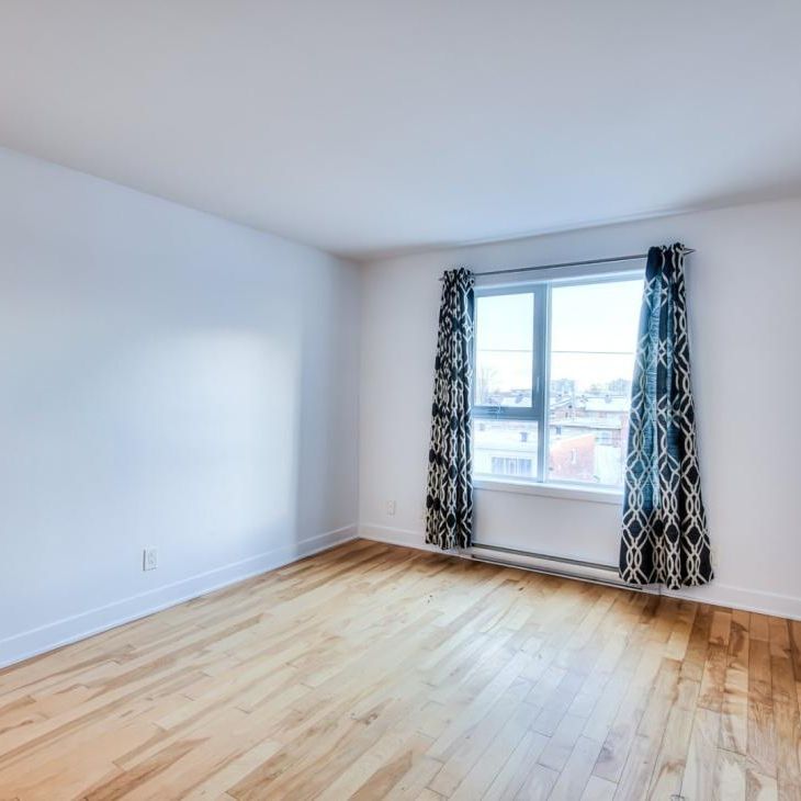 Nouveauté sur le marché Appartement à louer - Montréal (Montréal-Nord) - Photo 1