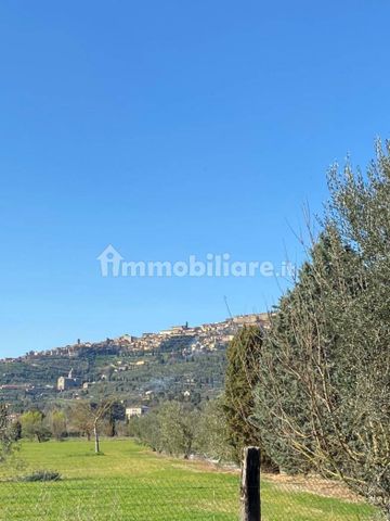 Villa unifamiliare San Marco in Villa, Cortona - Photo 5