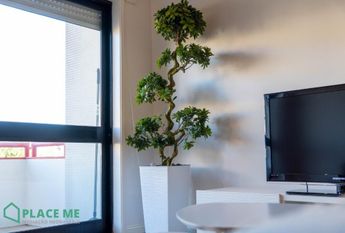 Arrendamento Apartamento T1