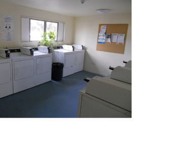 Fully furnished studio unit with one bathroom on the ground floor - Photo 3