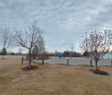 Beautiful 5 Bedroom House In Oriole Park! - Photo 5