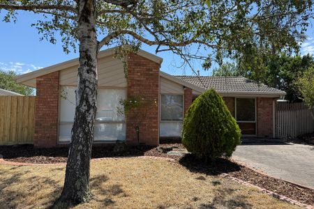 11 Berridale Court, Hampton Park VIC - Photo 3