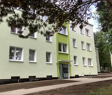 Bezugsfertige und helle 3 Zimmer-Wohnung in Baumheide mit Balkon / Freifinanziert - Photo 1