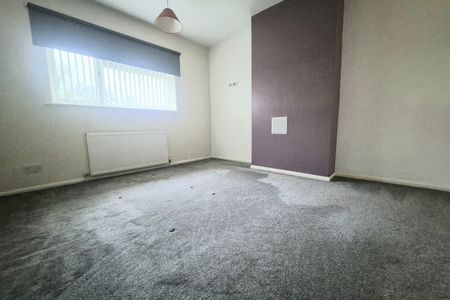 Cousin Lane - Photo 2