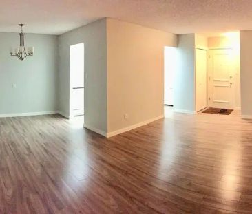 Renovated 2 BDRM 1.5 BATH apartment only 1 block from U of A! | 814... - Photo 1