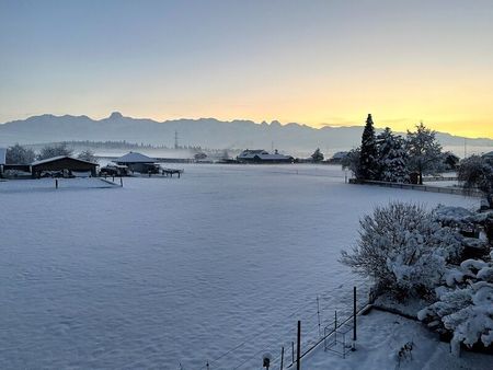 31/2-ROOM APARTMENT IN OPPLIGEN (BE), FURNISHED, TEMPORARY - Photo 4