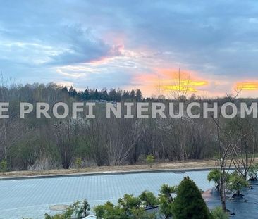 Rzeszów, Wilkowyja, Bałtycka Mieszkanie na wynajem - Photo 6