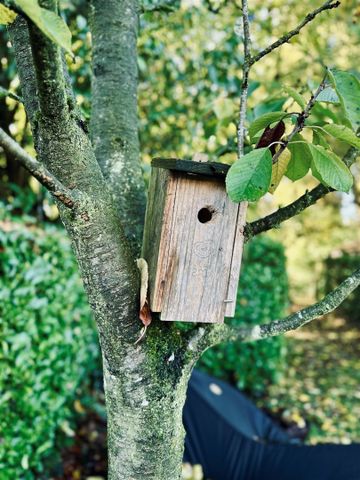Charmante woning op een ideale ligging in Steendorp - Foto 2