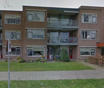 Appartement Adelaarslaan 56-A, Apeldoorn - À Louer - Foto 1