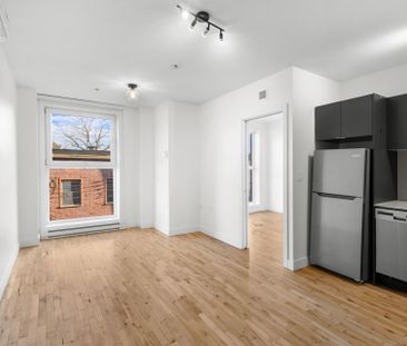 Condo for rent, Montréal (Le Plateau-Mont-Royal) - Photo 4