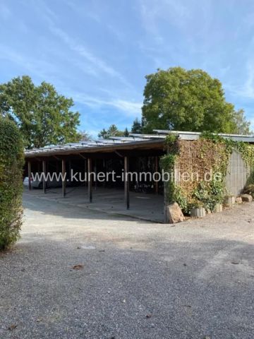 2-Zimmer-Wohnung im Erdgeschoss in gepflegter Wohnanlage, Garage oder Stepllplatz möglich - Photo 5