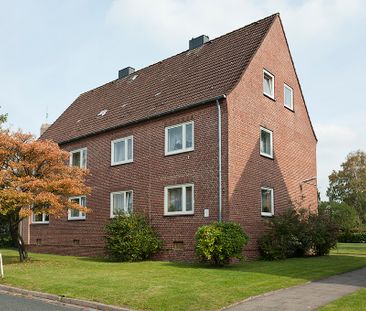 3-Zimmer-Wohnung in grüner Wohnlage - Photo 1