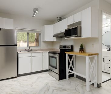 Mclaughlin Crt & Erskine St (Basement), Coquitlam - Photo 2