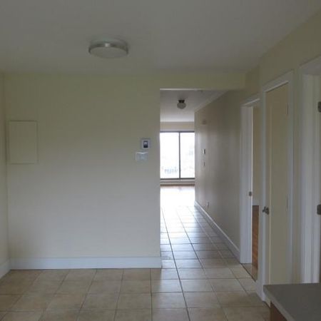 ROSEMONT - GRAND 4 1/2 en face de l'Hôpital Santa Cabrini - Photo 3