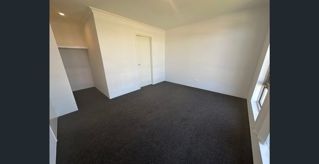 Stunning Modern Home in Hammond Park - Photo 1