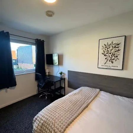 6 Bed Cluster Ensuite - Photo 2