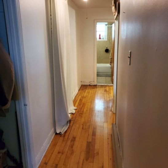 2620 Rue Joliette, app.1, H1W 3G9, H1W 3G9, Montréal - Photo 1