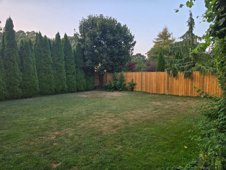 For Lease - 477 Scott Street Unit# Bsmt, St. Catharines, Ontario - Photo 3