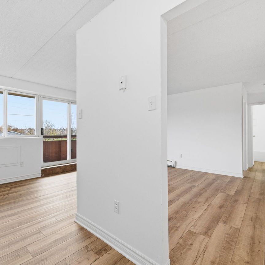 For Lease - 19 Manchester Avenue Unit# 301, St. Catharines, Ontario - Photo 1