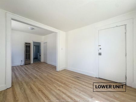 For Lease - 130 ELM Avenue Unit# 124 LOWER, Windsor, Ontario - Photo 4