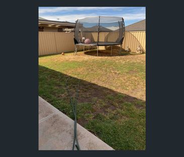 29 Chapman Road, Smithfield Plains, SA 5114 - Photo 1