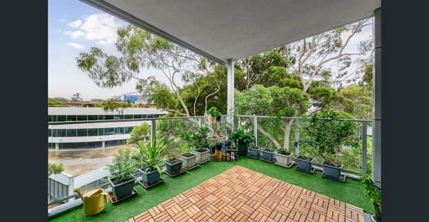 Bright and Stylish Two-Bedroom Apartment with Northeast Views in Gordon - Photo 1