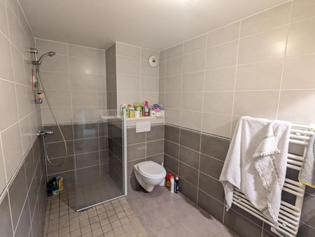 Location Appartement 1 pièce 29m² CLERMONT FERRAND 63000 - Photo 5