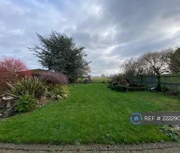 4 bedroom detached house to rent - Photo 4