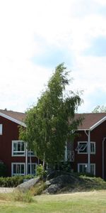 Norrtullsgatan 7 - Foto 3