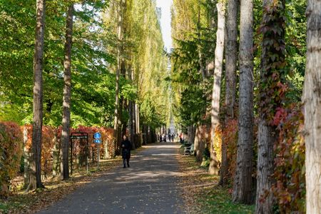 Nørrebrogade 148, 4. tv. 2200 København N - Foto 4