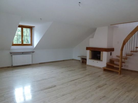 5.5 Zimmer, 260 m² - Photo 1