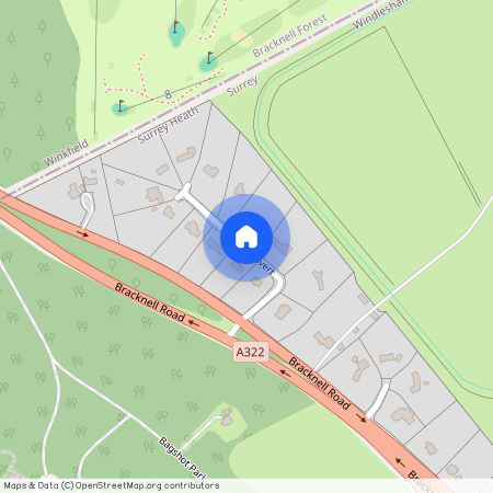 Dukes Covert, Bagshot, Surrey, GU19