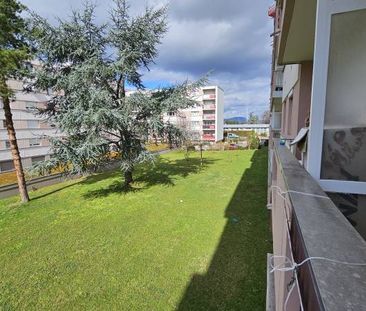 Location - Appartements - COLMAR - 68000 - Photo 3