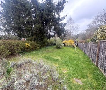 Guildford Lane, Albury, Surrey, GU5 - Photo 5