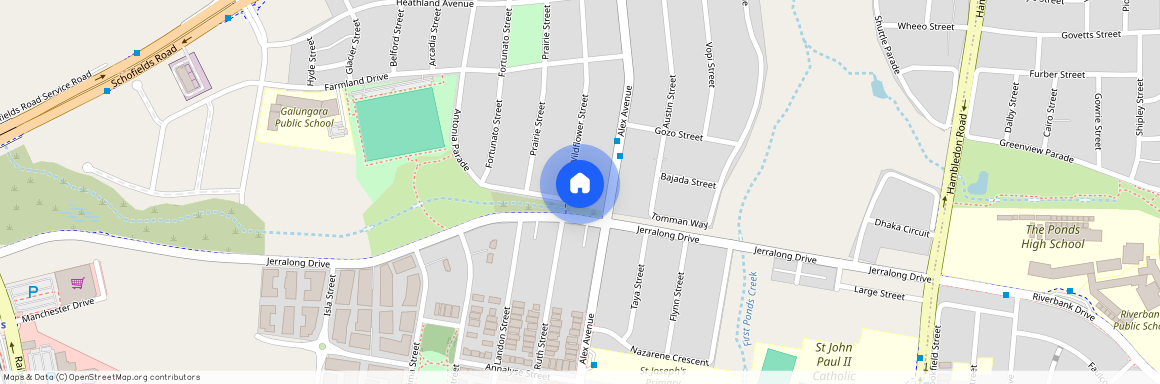 55 Wildflower Avenue, NSW 2762, Schofields