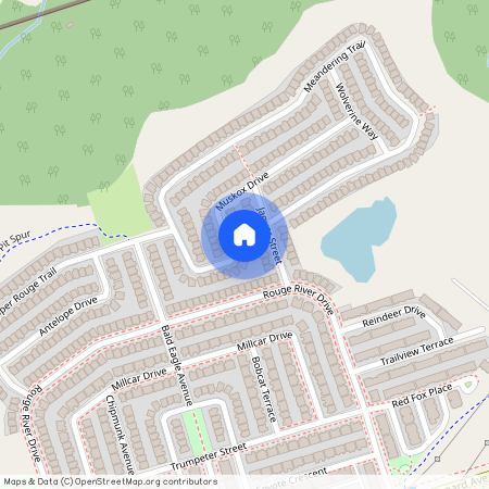 41 Muskox Drive Unit# Basement Primary B…, Toronto